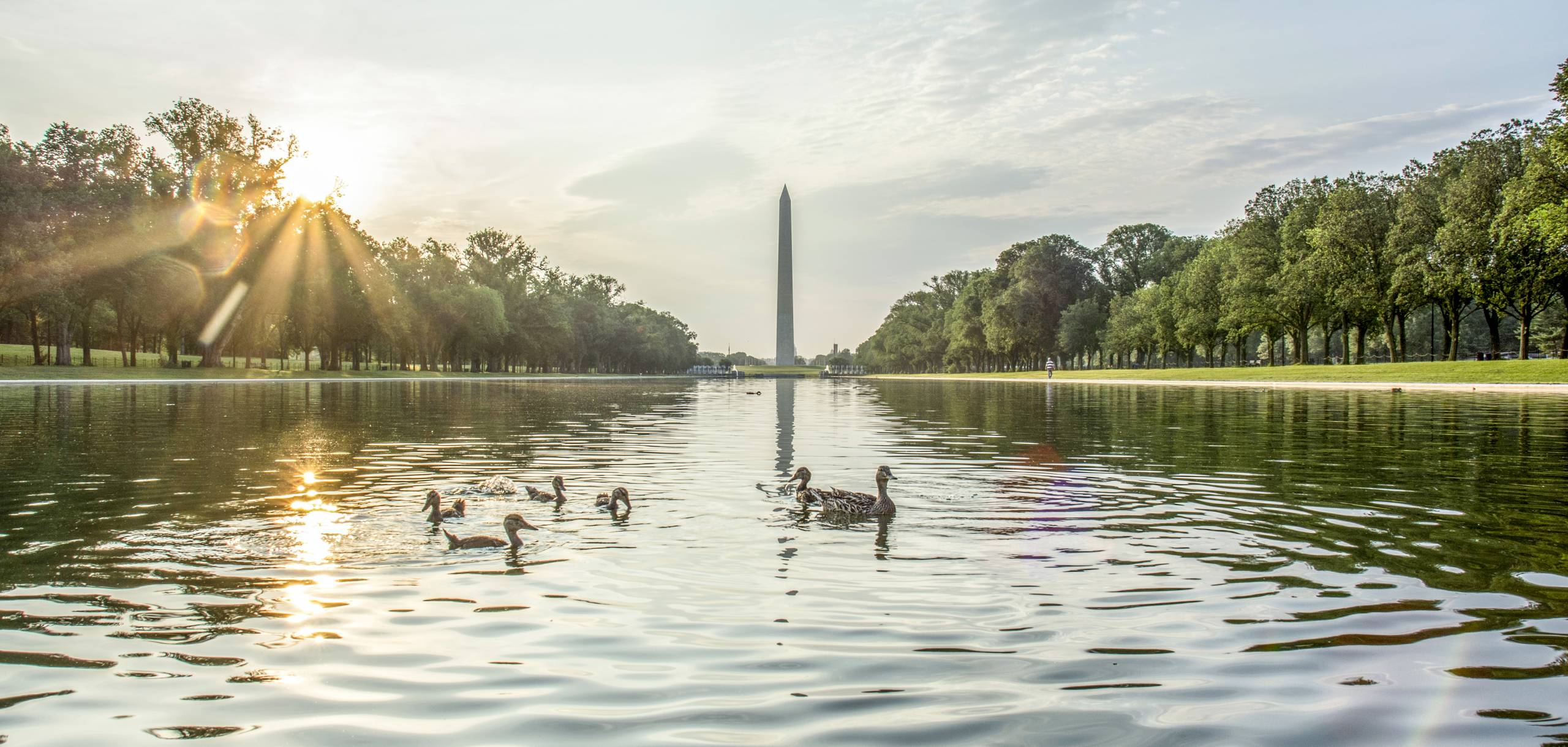 Washington DC vacation rentals Washington DC vacation rentals