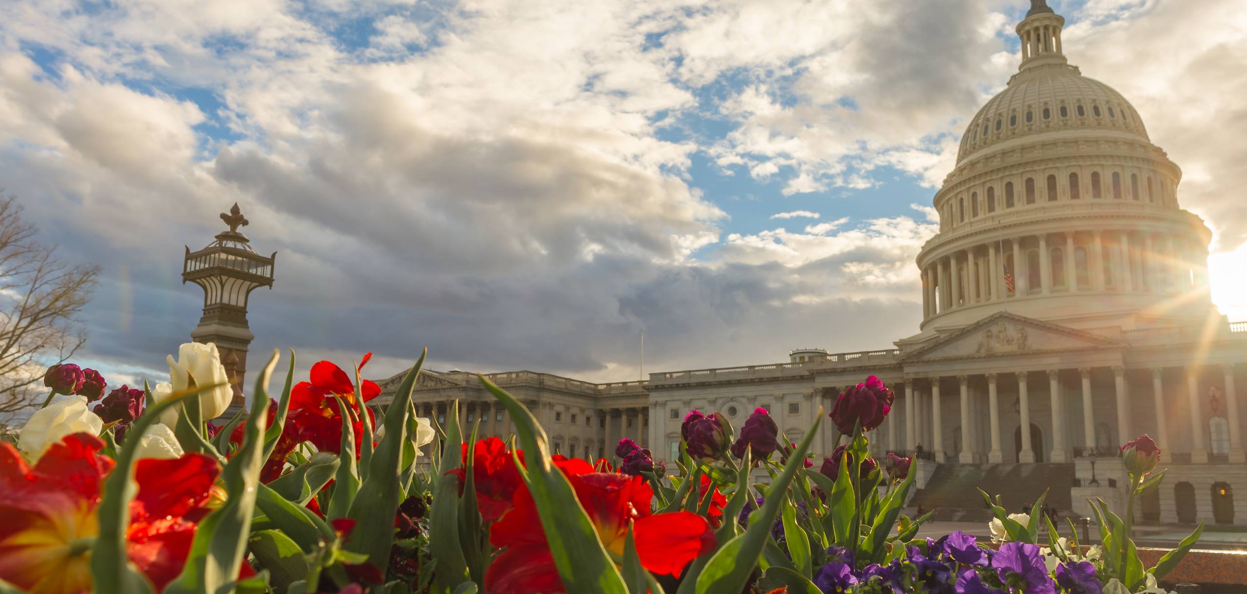 Capital Building in Springtime